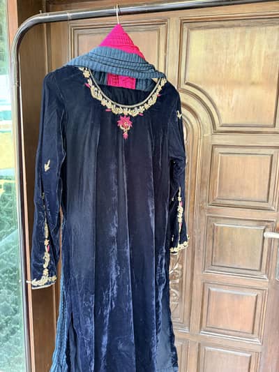 Beautiful velvet dress