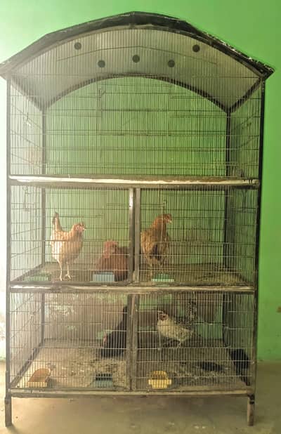 Rs. 15,000/- Only Steel Cage in Big size.