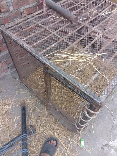 hens cage 15000