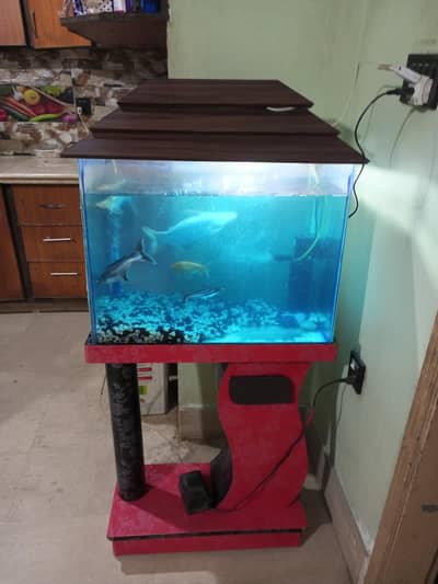 aquarium with fishes