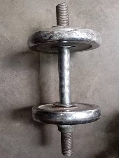 pure iron dumbbells