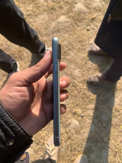 Pixel 8 Online Approved