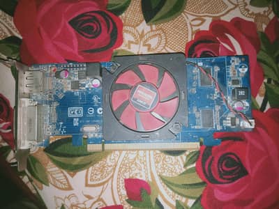 amd 1Gb graphics card