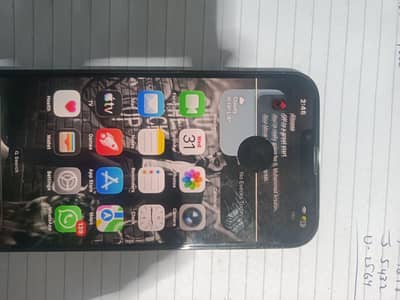 iphone 13 pro max (green)