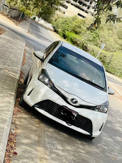 Which Paul white colour 2015 register 19