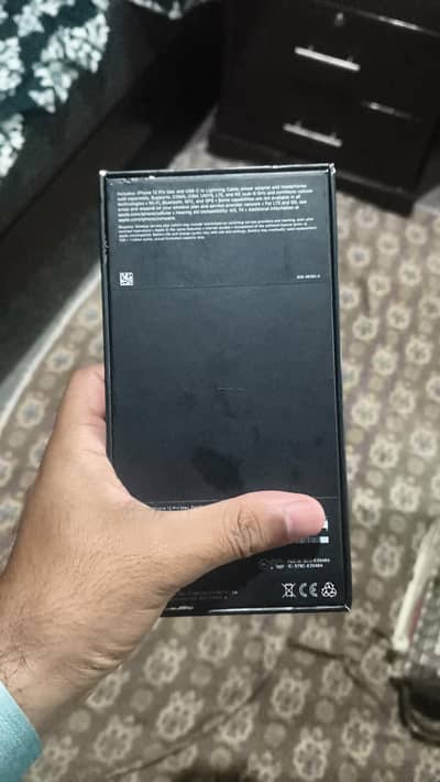 12 pro max sim working