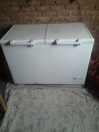 Haier d freezer 03123859981