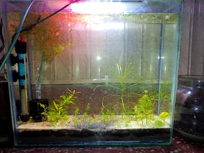 Aquarium for sale
