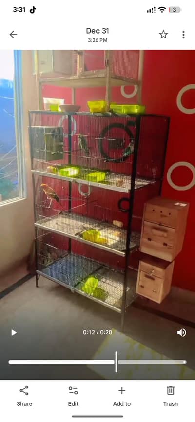 sunconor male 4 year plus age h brider mal h eski female dead ho Gai h