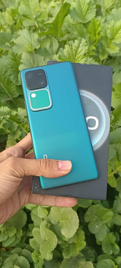 vivo v30 12+256 with box charge