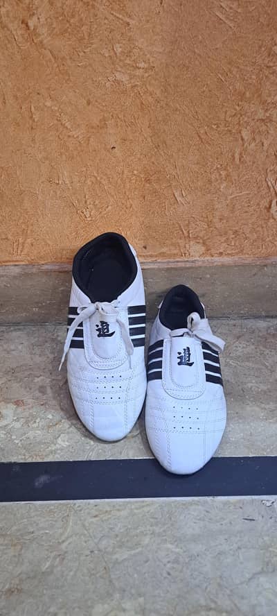 original taekwando shoes