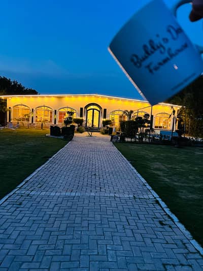 Beautiful farm house and swimming pool farmhouse for rent