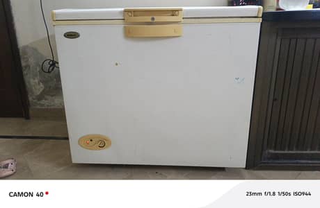waves deep freezer in good condition