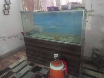 Aquarium for sale 5 feet