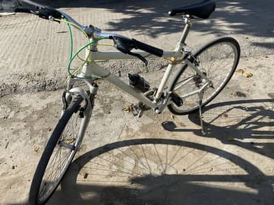 Gaint Mountain Imported Bike