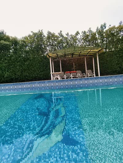 Farm House For Rent On Bedian Road Near DHA  Per Day