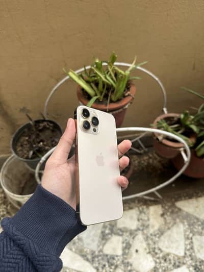 Iphone 13 pro max golden factory unlock 10/10 condition