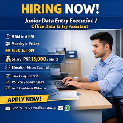 Data Entry Operator | Junior Data Entry Executive | Office Data Entry