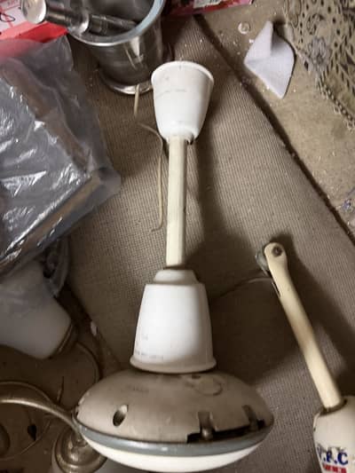 Fans from home, Royal Fan and VFC fan