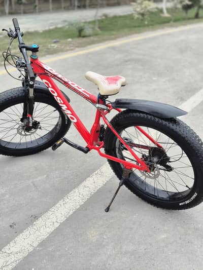 fat tyre cycle imported