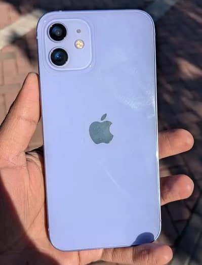 12 for sale purple rare colour only sale