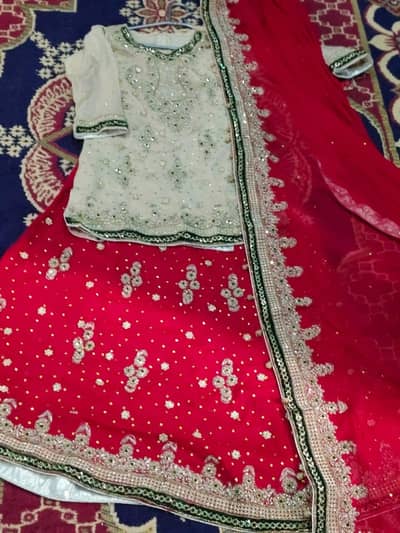 Barat Bridal Dress for Sale Lahore – Skin & Red Color Heavy Work