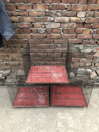bird or cat cage for sale