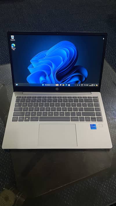 Scratcheless 13 Gen HP ProBook for Quick Sale