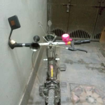 شاندار شائینیگ سٹیل چمک والی بڑی سائیکل