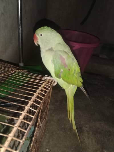 hand time raw 2.3 word talking my numb 03135354786