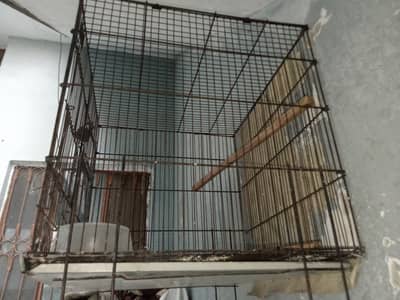 Parrots cage