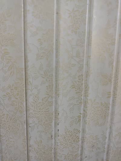 Coordinator/Teacher Required male/female