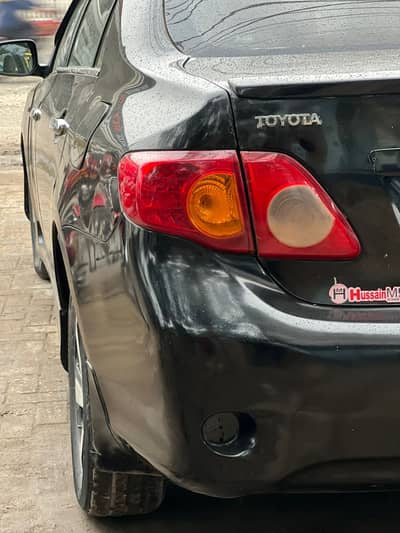 Gli 8/9 chat digi bonut genuine