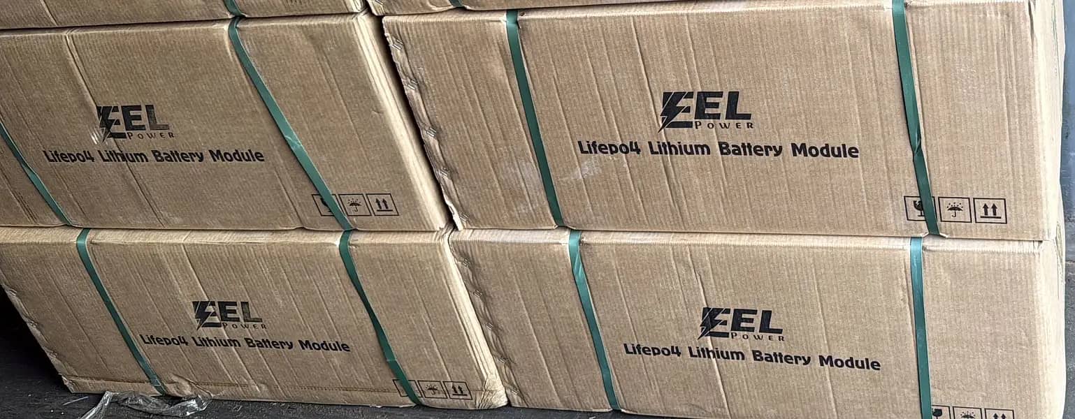 LITHIUM BATTERY (EEL POWER) 3