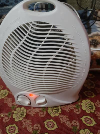 electric Fan heater.