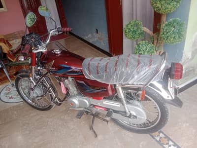 2024 model Total genuine