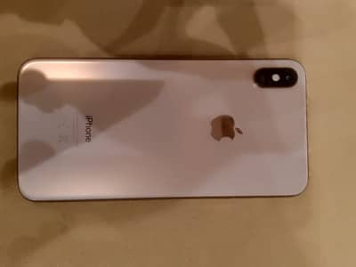 Xs Max 256 Gb