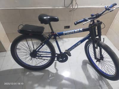 phoenix oval edition