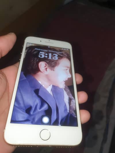 golden 8plus non pta