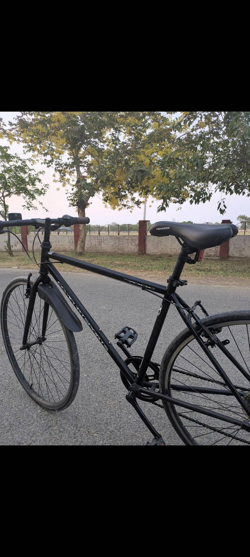 comfortsports cycle 2