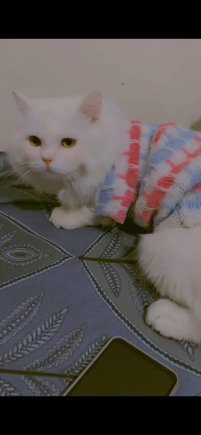 only interested people contact me