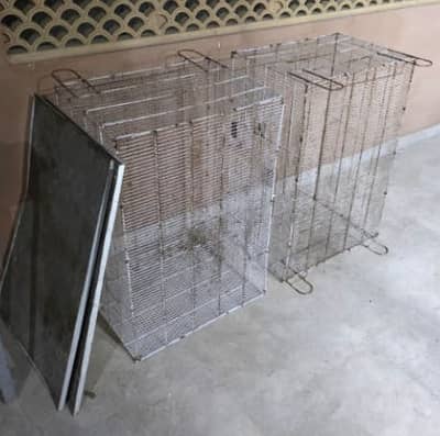 Cages, Fawn java, Budgies, Boxes, Handi, Incubator, Brooder