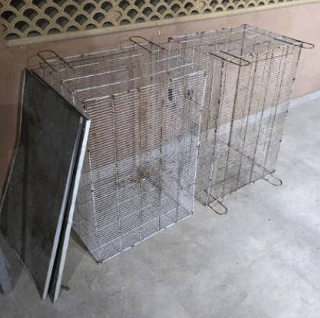 Cages, Fawn java, Budgies, Boxes, Handi, Incubator, Brooder 0