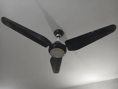 2 GFC and 2 Royal ceiling fans in very good condition