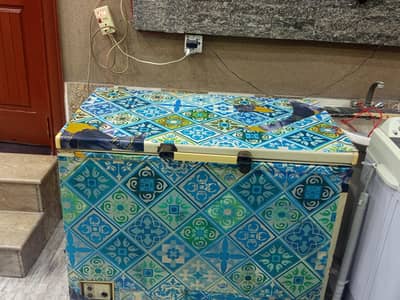 Freezer 100% Working Condition Waves