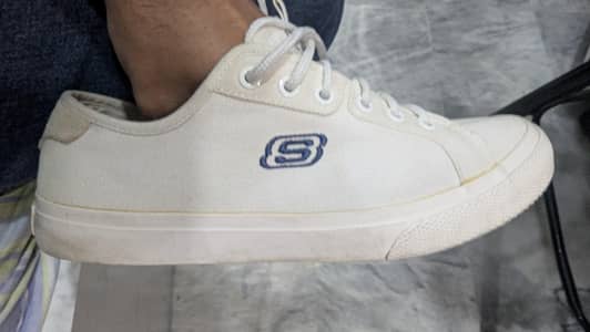 Skechers (8 UK)