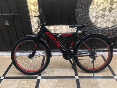 Morgan Important Cycle