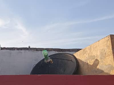 dish antenna + receiver