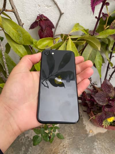 I phone se 2020 / I phone xr