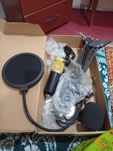 BM800 mic